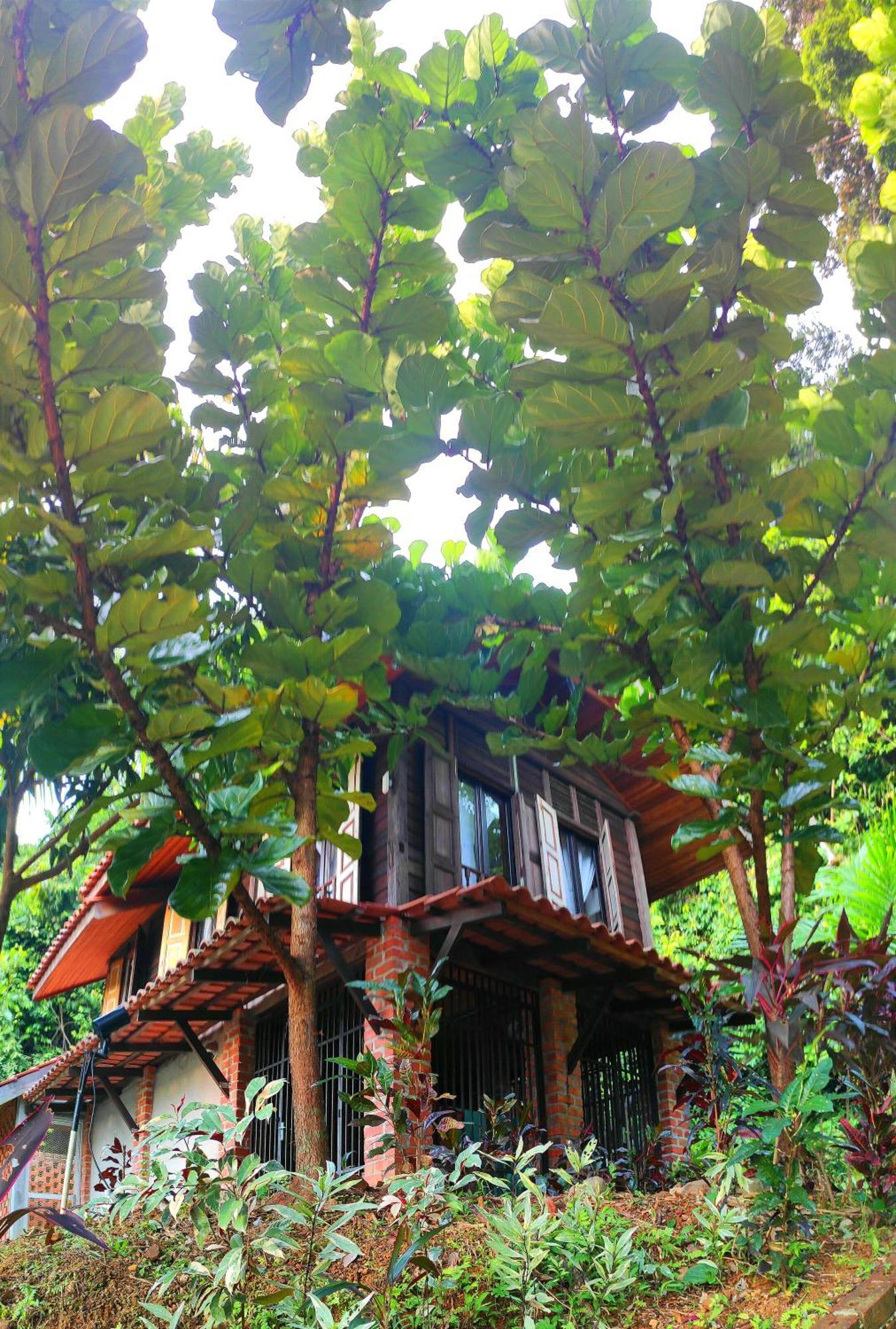 Bed and Breakfast S'Ekar Pinang Langkawi Пантай-Сенанг Экстерьер фото