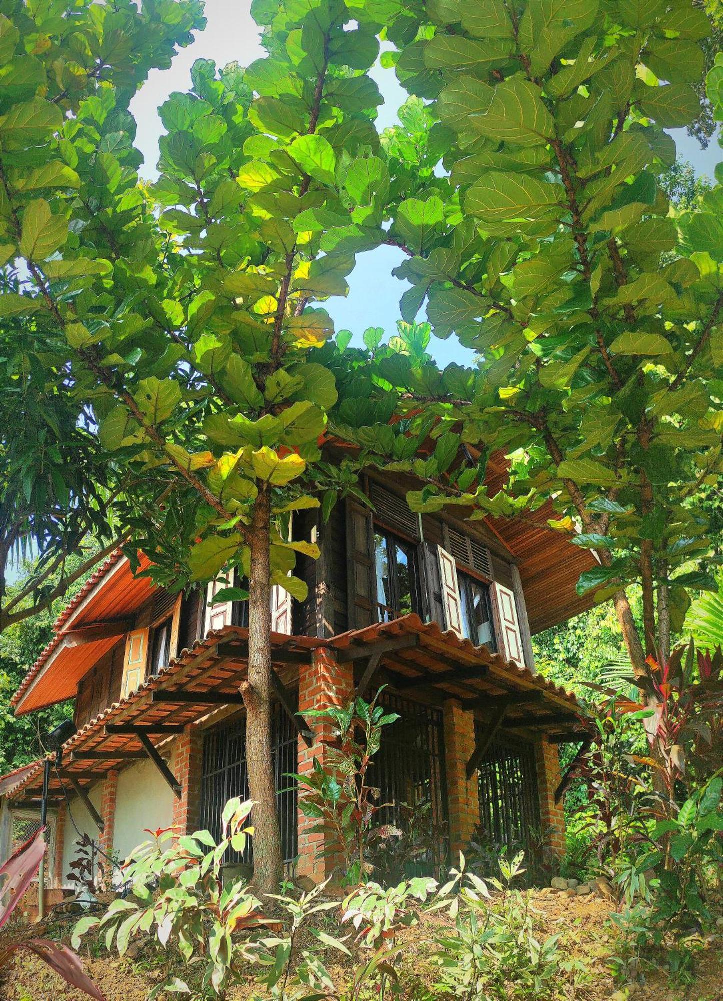Bed and Breakfast S'Ekar Pinang Langkawi Пантай-Сенанг Экстерьер фото